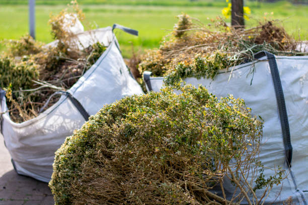  Carrizozo, NM Junk Removal Services Pros